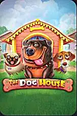 The Dog House — zagraj w Mostbet